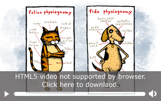 HTML5 Video